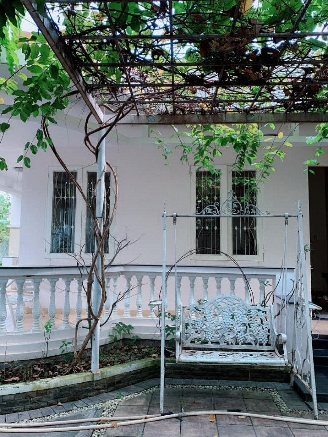 Ngưỡng mộ khu vườn rợp bóng cây xanh của Việt Trinh ảnh 4