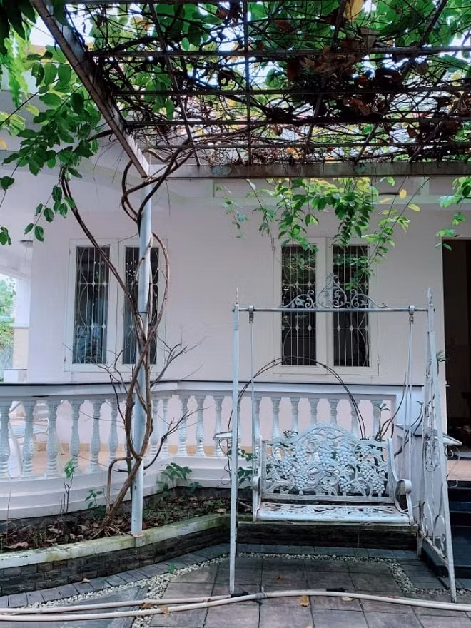 Ngưỡng mộ khu vườn rợp bóng cây xanh của Việt Trinh ảnh 4