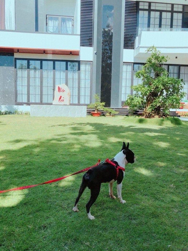 Ngắm biệt thự tiền tỉ của diễn viên Quốc Trường "Gạo nếp gạo tẻ" ảnh 12 Ngắm biệt thự tiền tỉ của diễn viên Quốc Trường "Gạo nếp gạo tẻ" ảnh 12