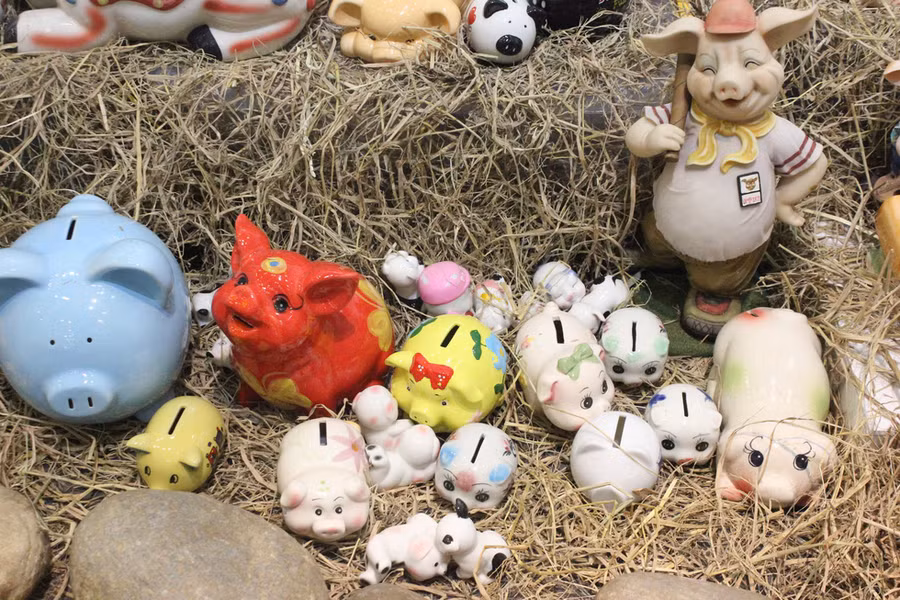 Ngắm đàn heo độc đáo ngàn con của nhà sử học Dương Trung Quốc - Ảnh 20.