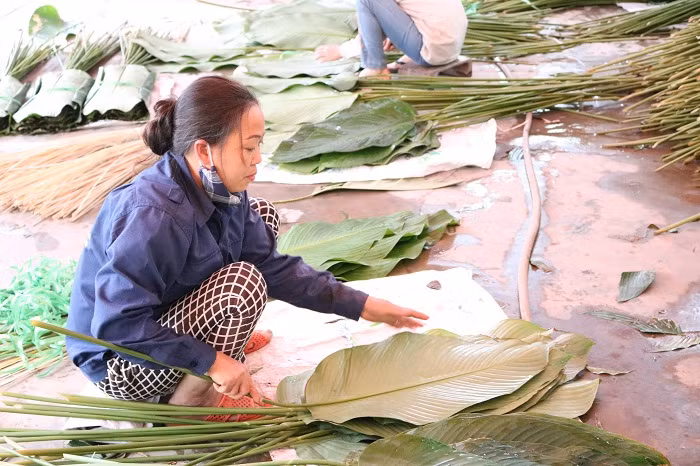 Người Tràng Cát cẩn thận sắp xếp từng tấm lá dong.