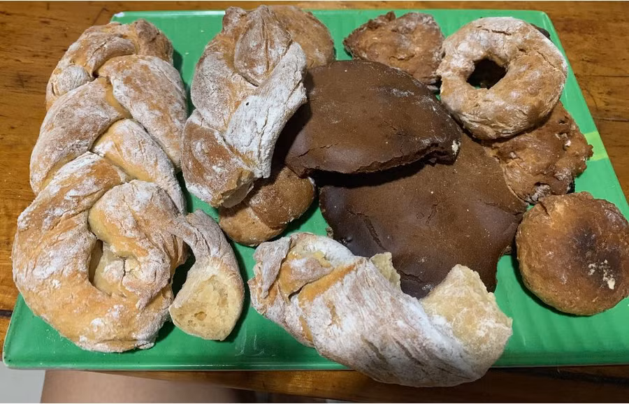 Nghe đồn bánh mì hoa cúc mềm lắm, không hiểu sao nó cứng như đá vậy bà con!