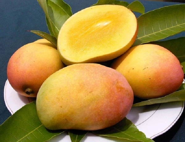 Ăn quá nhiều xoài sẽ gây nổi mụn (Ảnh minh họa)