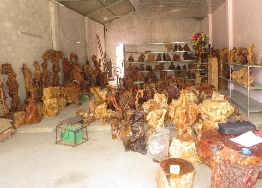 Gỗ thu mua được dùng để chế tác sản phẩm mỹ nghệ.