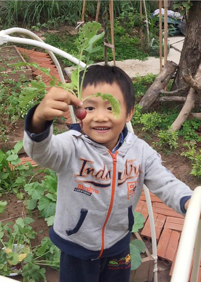 Ông bố Hà Nội làm ngôi nhà tròn kỳ lạ theo ước mơ của con ảnh 13 ong-bo-ha-noi-lam-ngoi-nha-tron-ky-la-theo-uoc-mo-cua-con-12