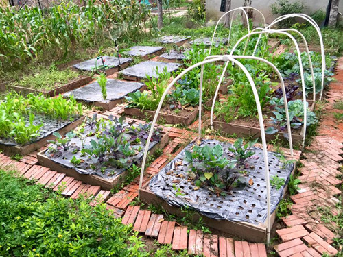 Ông bố Hà Nội làm ngôi nhà tròn kỳ lạ theo ước mơ của con ảnh 11 ong-bo-ha-noi-lam-ngoi-nha-tron-ky-la-theo-uoc-mo-cua-con-10