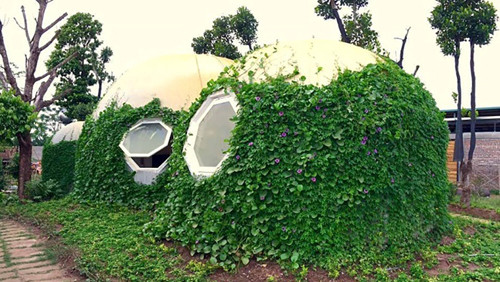 Ông bố Hà Nội làm ngôi nhà tròn kỳ lạ theo ước mơ của con ảnh 2 ong-bo-ha-noi-lam-ngoi-nha-tron-ky-la-theo-uoc-mo-cua-con-1