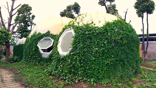 ong-bo-ha-noi-lam-ngoi-nha-tron-ky-la-theo-uoc-mo-cua-con-1