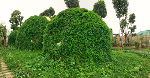 Ông bố Hà Nội làm ngôi nhà tròn kỳ lạ theo ước mơ của con ảnh 1 ong-bo-ha-noi-lam-ngoi-nha-tron-ky-la-theo-uoc-mo-cua-con