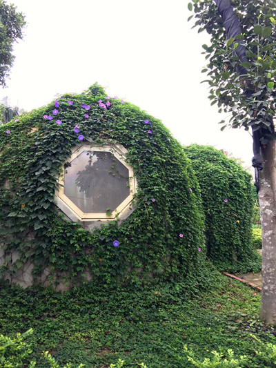 Ông bố Hà Nội làm ngôi nhà tròn kỳ lạ theo ước mơ của con ảnh 10 ong-bo-ha-noi-lam-ngoi-nha-tron-ky-la-theo-uoc-mo-cua-con-9