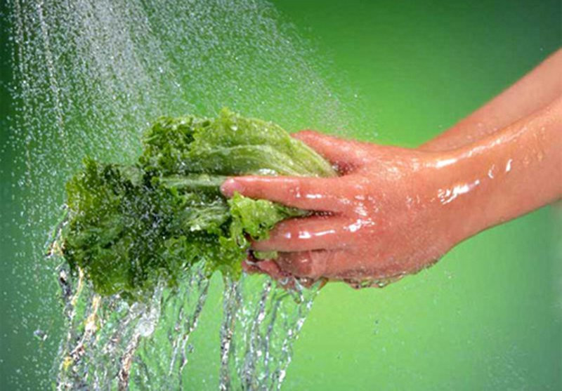 ngộ độc, ngộ độc thực phẩm, bảo quản thực phẩm ngộ độc, ngộ độc thực phẩm, bảo quản thực phẩm