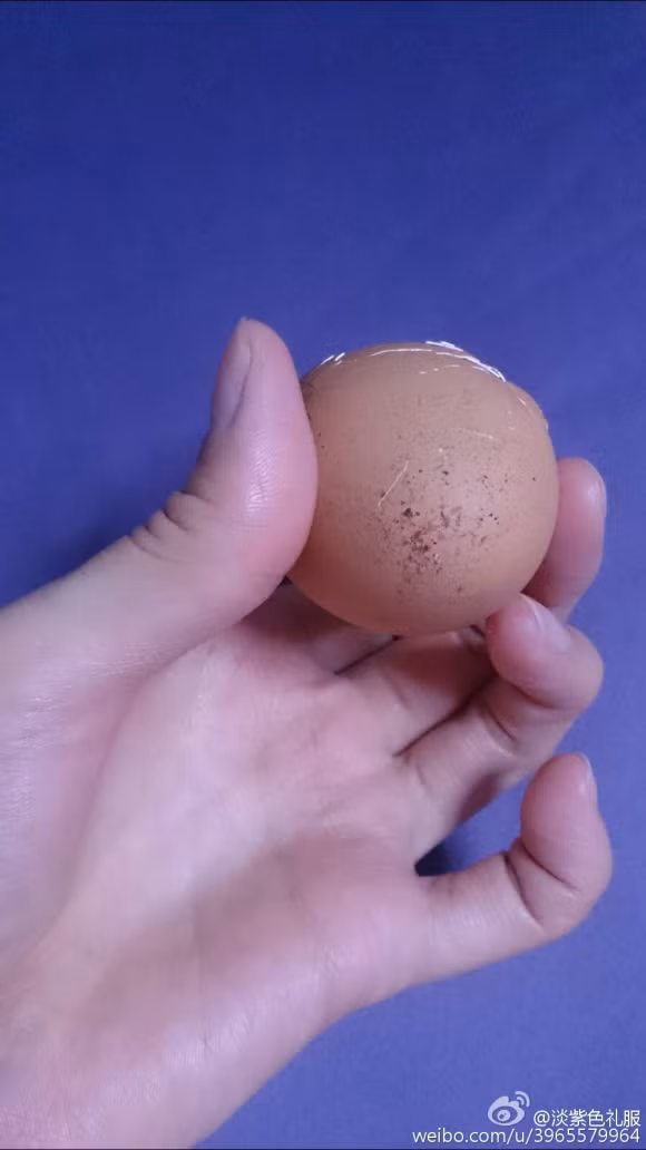 Nhìn tận mắt công nghệ làm trứng gà giả ở Trung Quốc ảnh 8