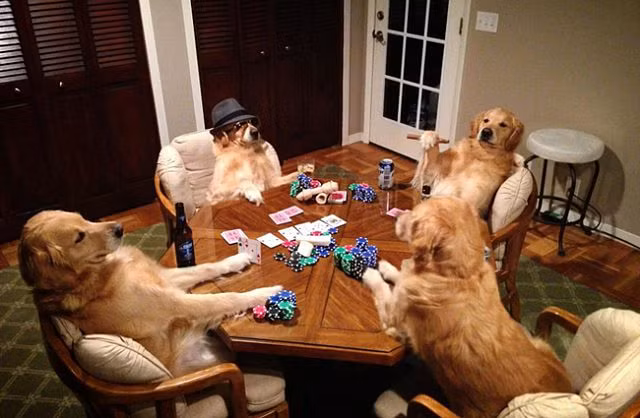 Chó là để yêu thương, chứ không phải để ăn thịt - Hình 12