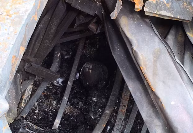 Bệnh viên Nhi TƯ miễn phí điều trị cho bé sinh non nghi có bố mẹ chết cháy ở Đê La Thành