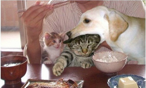 10-anh-hai-hot-nhat-facebook-trong-ngay-1