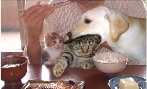 Cậy lớn hiếp bé. 10-anh-hai-hot-nhat-facebook-trong-ngay-1