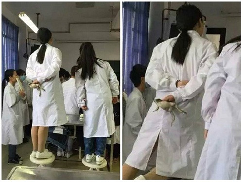 10-anh-hai-hot-nhat-facebook-trong-ngay