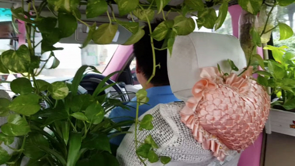 Ngạc nhiên với kiểu “xe bus rừng xanh” độc đáo ở Đài Loan ảnh 8 Taxi phủ xanh ở Bangkok, Thái Lan