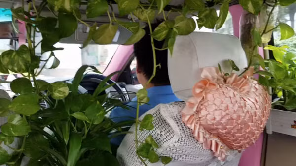 Taxi phủ xanh ở Bangkok, Thái Lan