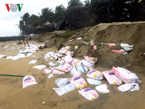 song lon tan pha bo bien quang nam, da nang hinh 1