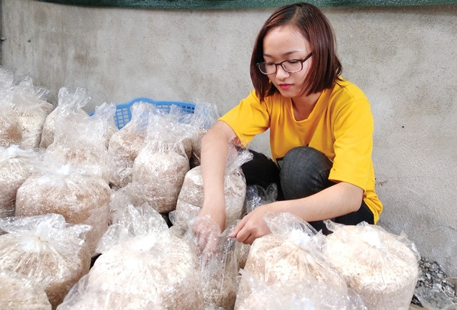 SV tham gia học theo dự án tại trang trại nấm của DUTI Education SV tham gia học theo dự án tại trang trại nấm của DUTI Education