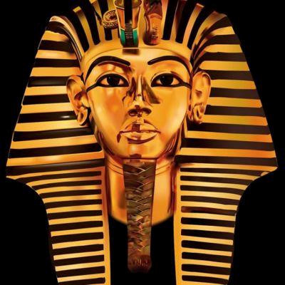 giat minh nhung chuyen la lung gay soc cua hoang de ai cap hinh anh 4