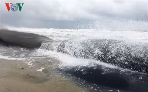 song lon tan pha bo bien quang nam, da nang hinh 3