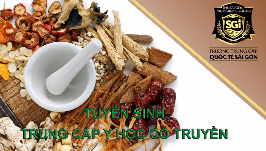 Học ngành trung cấp y học cổ truyền cơ hội việc làm rất tốt Học ngành trung cấp y học cổ truyền cơ hội việc làm rất tốt