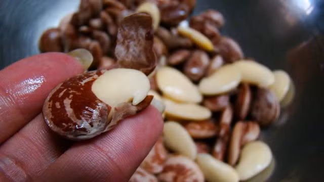 NHỮNG MẸO VẶT HIỆU QUẢ VÀ DỄ THỰC HIỆN DÀNH CHO CHỊ EM PHỤ NỮ - Hình 4