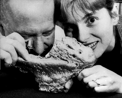 Cận cảnh những khối vàng lớn nhất hành tinh ảnh 6