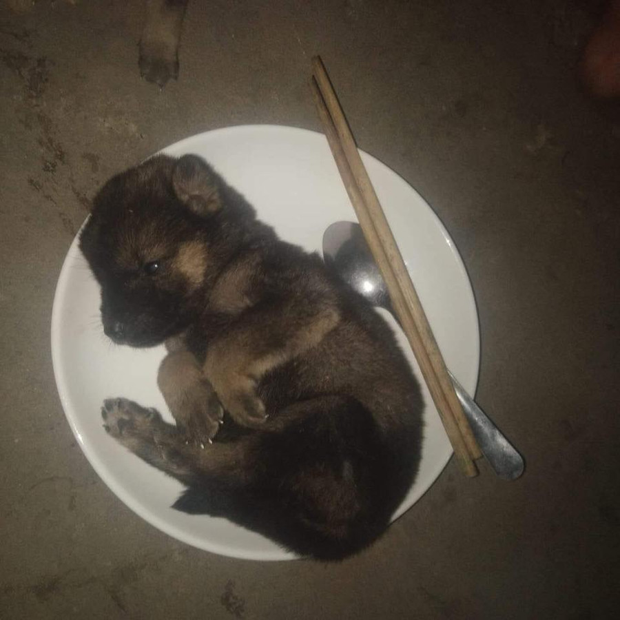 Thêm gia vị nào nữa nhỉ