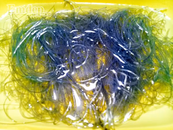 Miến xào tôm cực ngon, ăn nhiều vẫn không lo béo