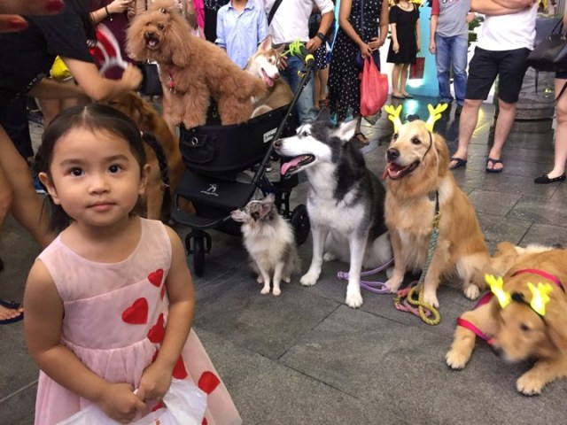 Không rời mắt với mặt mộc của cô bé 4 tuổi ảnh 2 Không rời mắt với mặt mộc của cô bé 4 tuổi ảnh 2