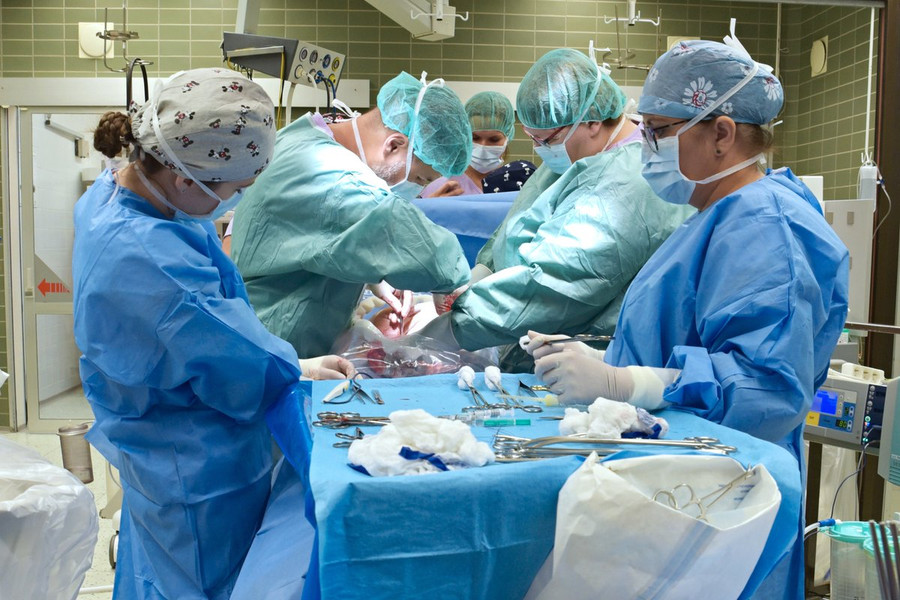 em-be-o-czech-sinh-ra-tu-nguoi-me-chet-nao-117-ngay-2