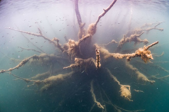 Bí ẩn nhà tù chìm trong biển nước ảnh 8