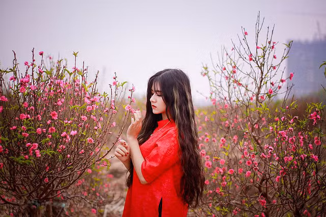 Từng tự ti vì mũm mĩm, nữ sinh xứ Nghệ “lột xác” trong bộ ảnh đón Xuân ảnh 6