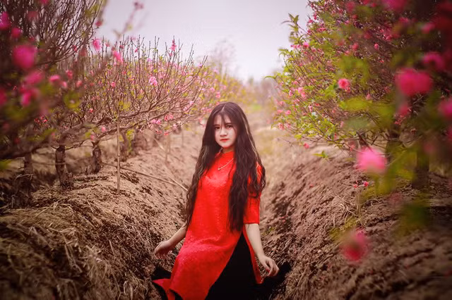 Từng tự ti vì mũm mĩm, nữ sinh xứ Nghệ “lột xác” trong bộ ảnh đón Xuân ảnh 3