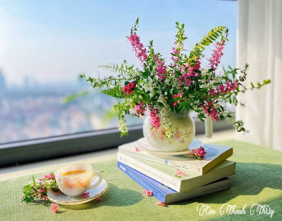 Tử vi 12 con giáp ngày 4/12: Tuất vận đỏ vây quanh, Hợi tình cảm không như ý