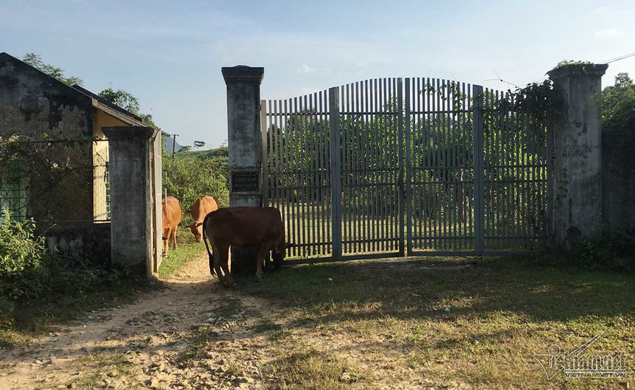 Phía sau cánh cổng này là đồi Tỷ nơi có những hòn đá đỏ ruby bán tiền tỷ. Ảnh: Quốc Huy. Đại gia đá đỏ đếm tiền cả ngày không hết giờ ra sao?