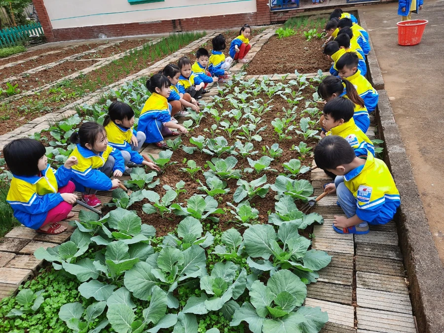 Học sinh trường Mầm non Đoàn Kết (TP Lai Châu) trong giờ trải nghiệm.