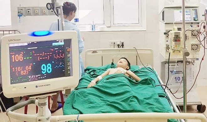 Hơn 100 mũi ong đốt trên cơ thể bé trai 11 tuổi