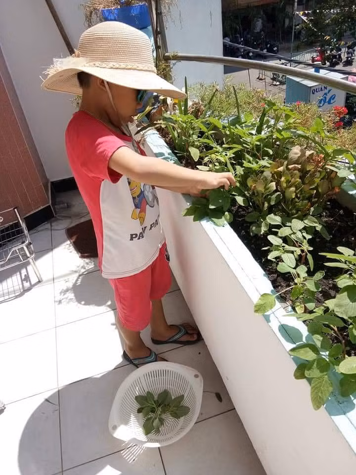 Dạy con làm việc nhà, Bí quyết dạy con tự giác làm việc nhà, Nuôi dạy trẻ