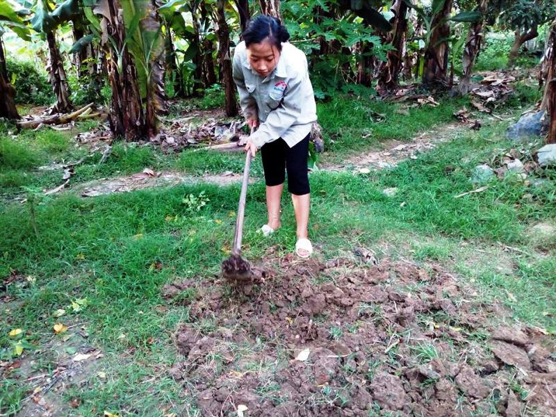 Ánh giúp mẹ làm vườn.