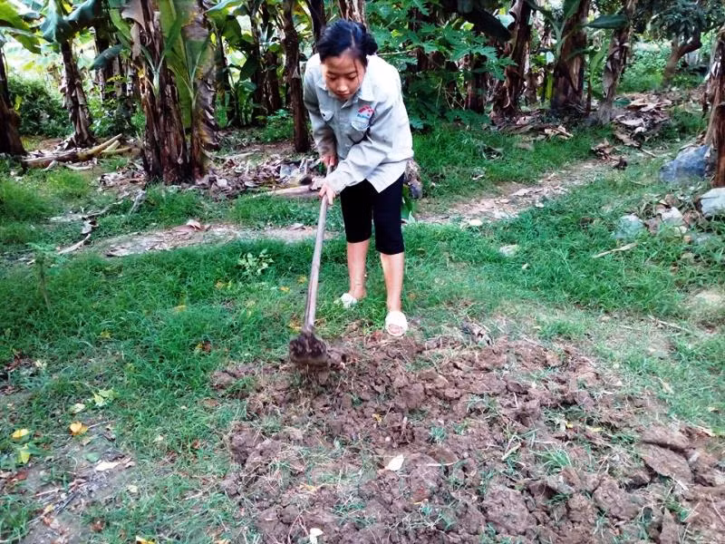 Ánh giúp mẹ làm vườn.