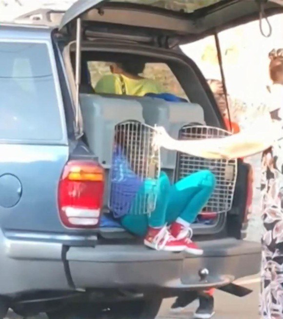 12 năm tù cho người bà nhốt 2 cháu trong cũi chó dưới cái nắng 35 độ C ảnh 1 Vụ việc diễn ra ở Memphis, Mỹ vào sáng Chủ nhật vừa rồi