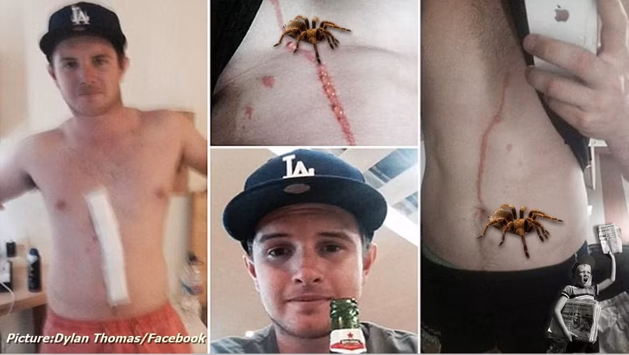 het hon voi nhung sinh vat la trong co the nguoi - 9