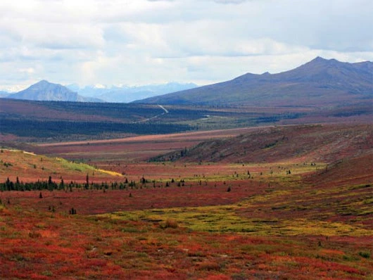 Gần 3 triệu năm trước, Greenland trông giống như lãnh nguyên Alaska.