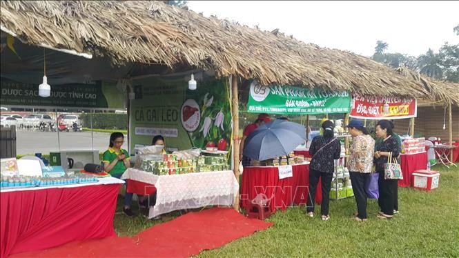 Các gian hàng tại “Festival văn hóa truyền thống Việt 2019”. Ảnh: Khánh Vy/TTXVN