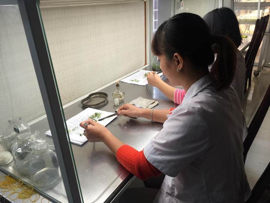 NCKH giúp tăng cường khả năng ứng dụng lý thuyết vào thực hành. Ảnh: Thanh Long