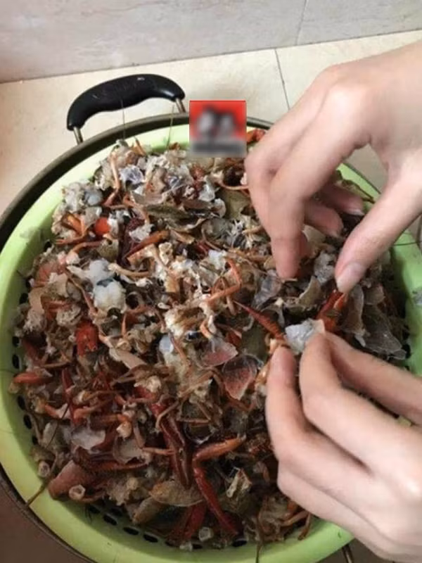 Cách rửa tôm hùm của cặp vợ chồng siêu lười khiến cư dân mạng tan nát cõi lòng